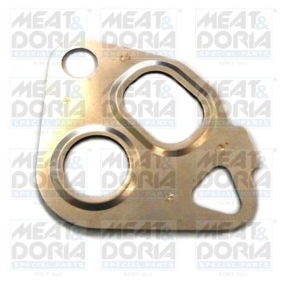 Gasket, EGR valve